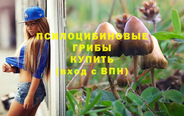 синтетический гашиш Арсеньев