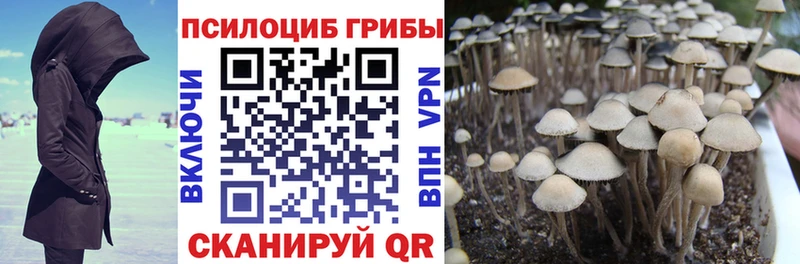 где можно купить   Ревда  Псилоцибиновые грибы ЛСД 